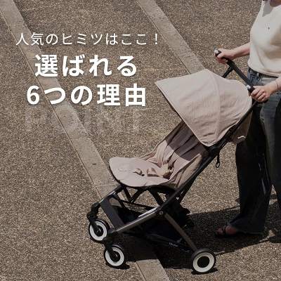 サイベックスリベル2025の特長