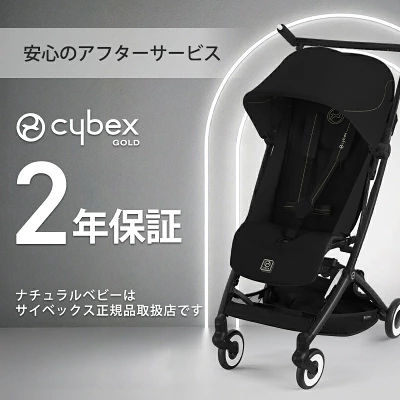 サイベックスリベル2025の特長