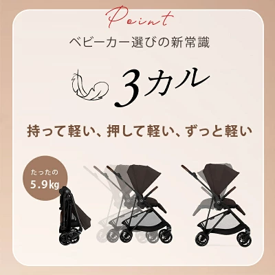 サイベックスメリオカーボン2025の特長