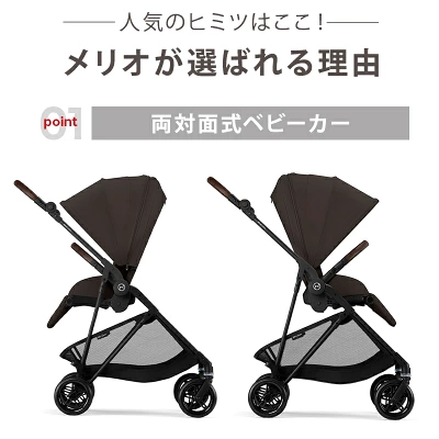 サイベックスメリオカーボン2025の特長