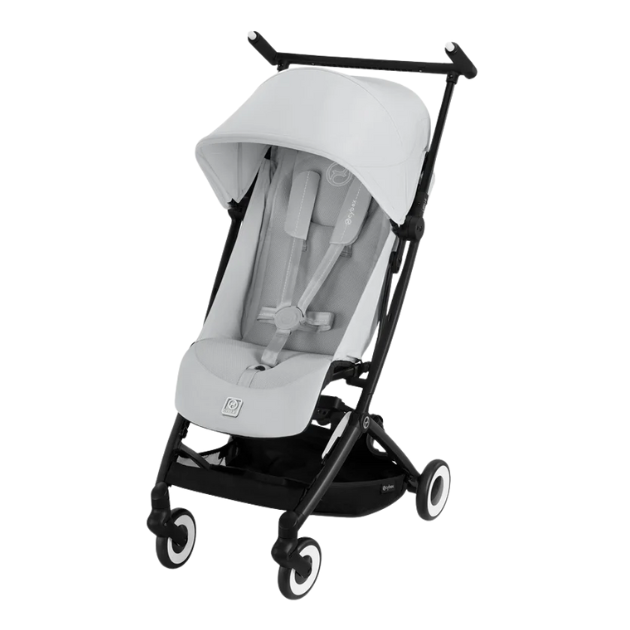 サイベックスリベル2025のフォググレー